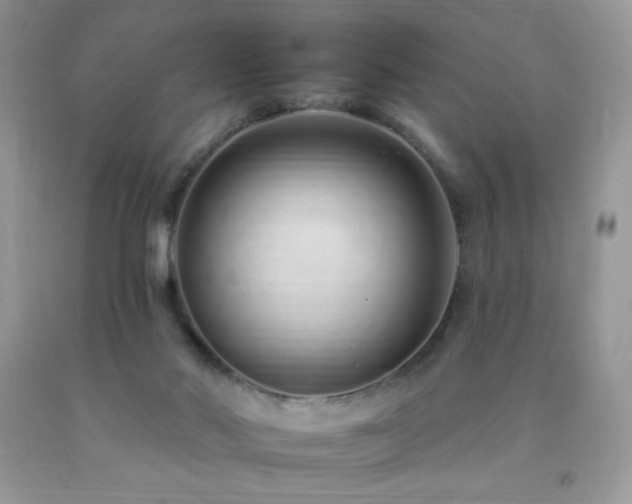 X0000092260022200709141218