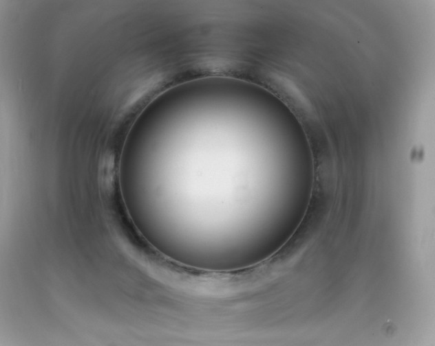 X0000092260024200709141218