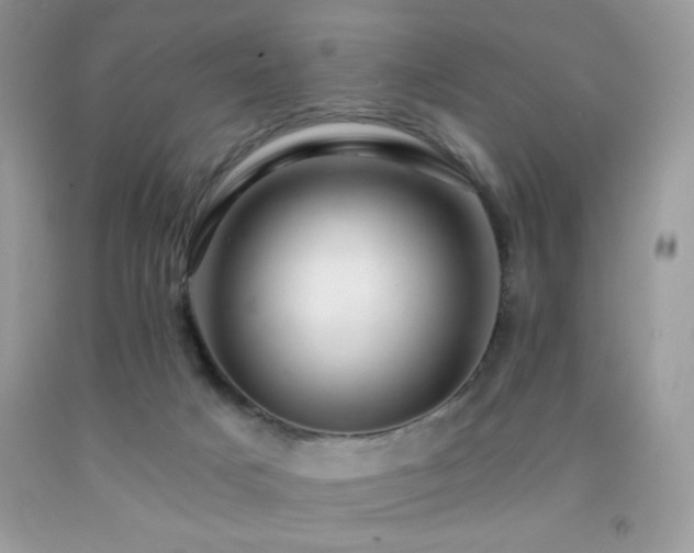 X0000092260025200709141218