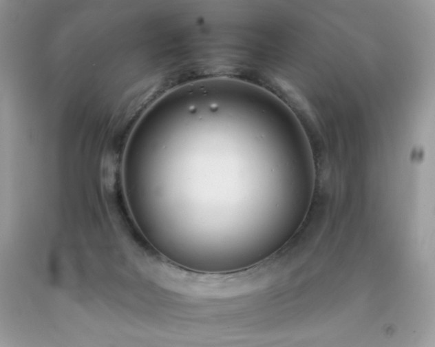 X0000092260026200709141218