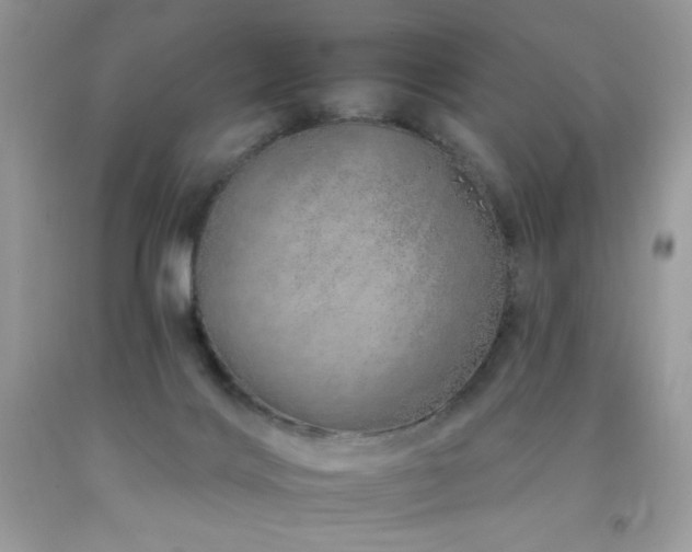 X0000092260028200709141218
