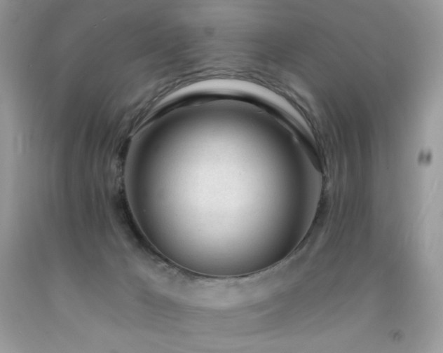 X0000092260029200709141218