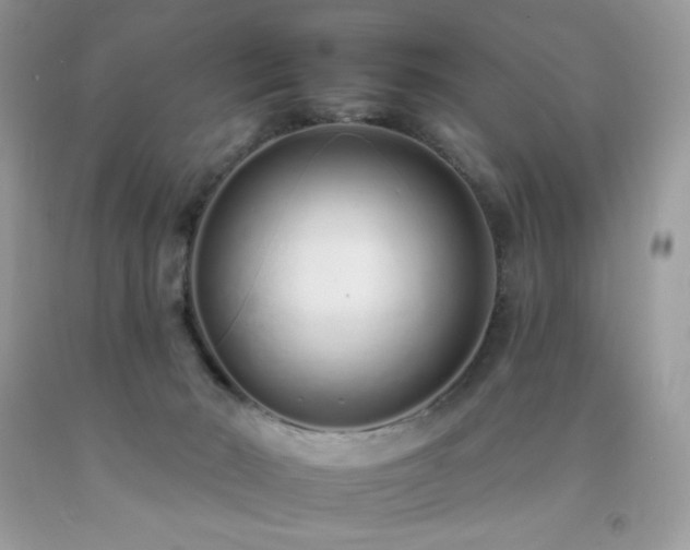 X0000092260030200709141218