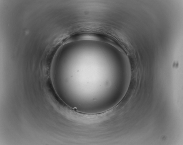 X0000092260031200709141218
