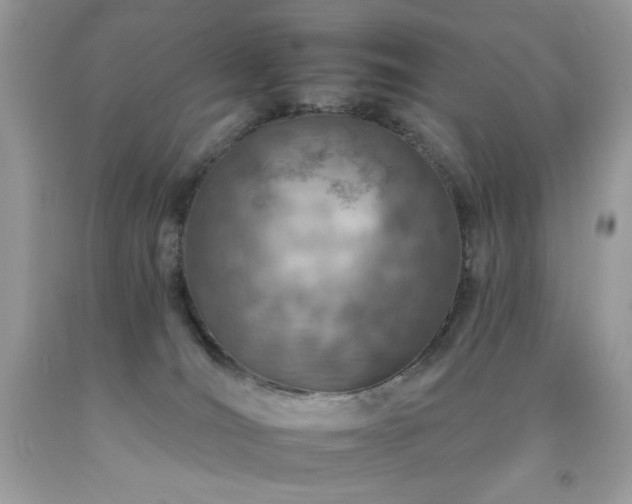 X0000092260036200709141218