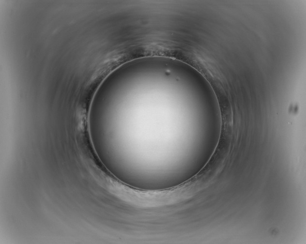 X0000092260038200709141218