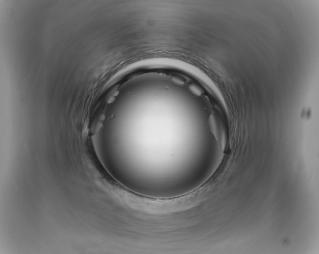 X0000092260039200709141218