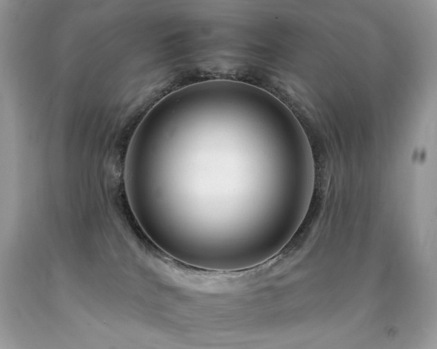 X0000092260040200709141218