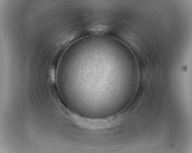 X0000092260042200709141218