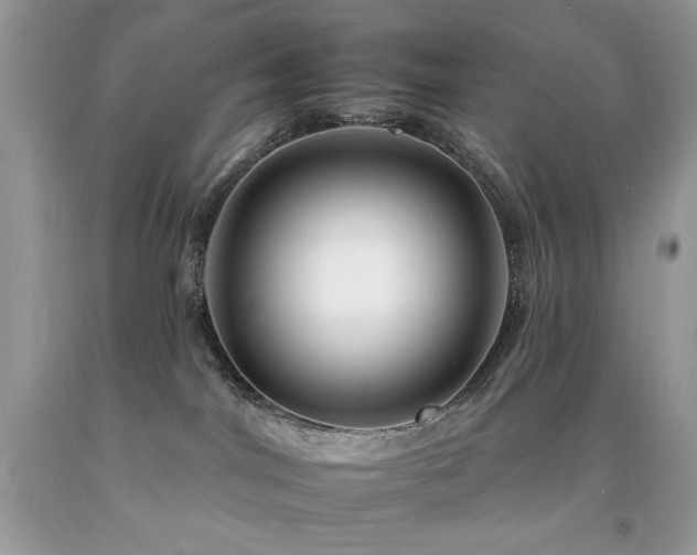 X0000092260044200709141218