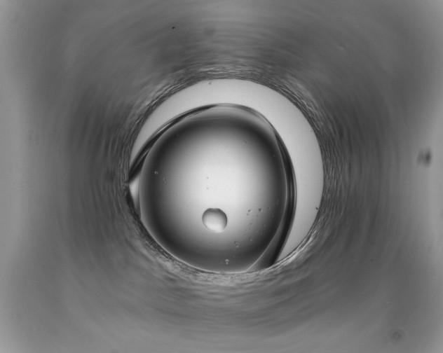 X0000092260045200709141218