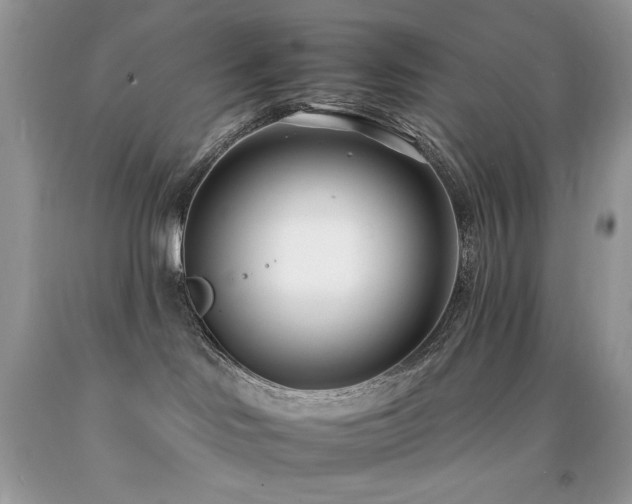 X0000092260046200709141218