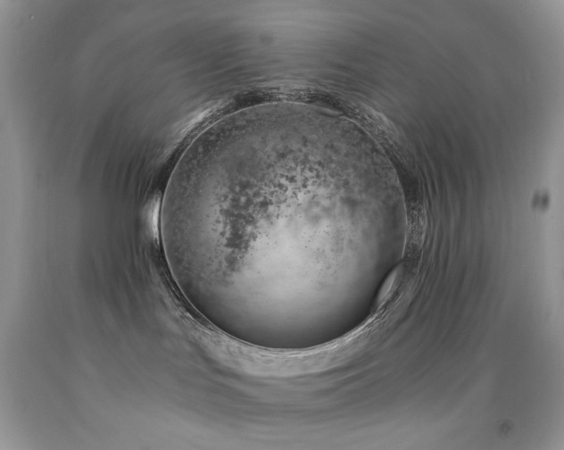 X0000092260047200709141218