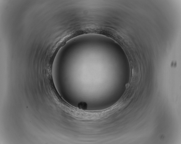 X0000092260048200709141218