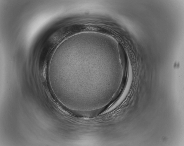 X0000092260052200709141217