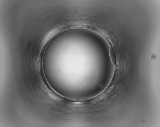 X0000092260053200709141217