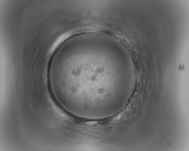 X0000092260054200709141217