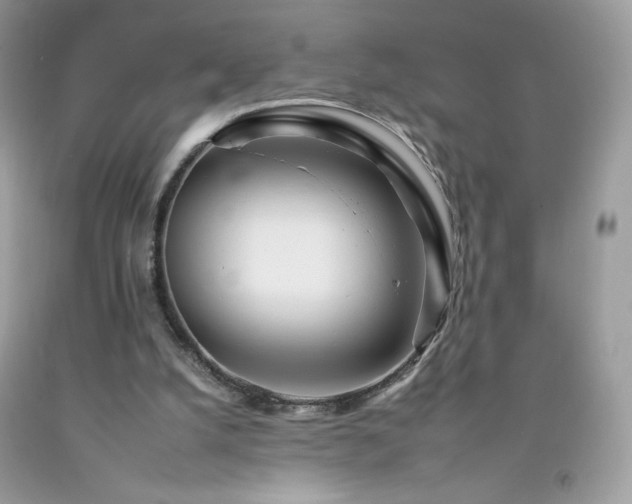 X0000092260056200709141217