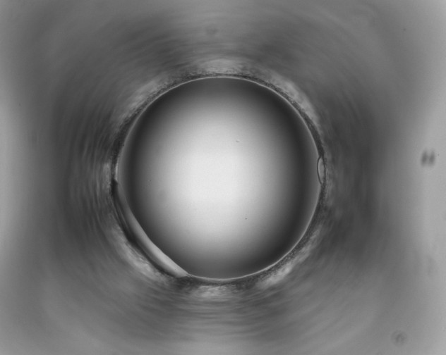 X0000092260057200709141217