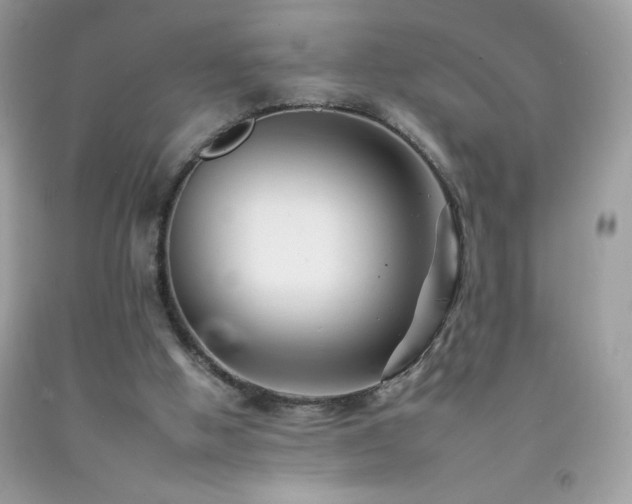 X0000092260058200709141217