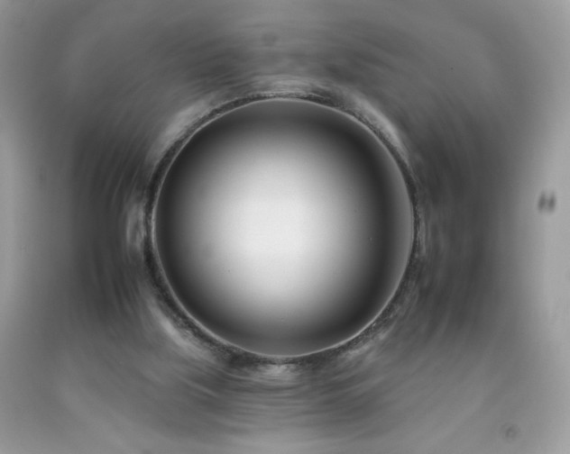 X0000092260059200709141217