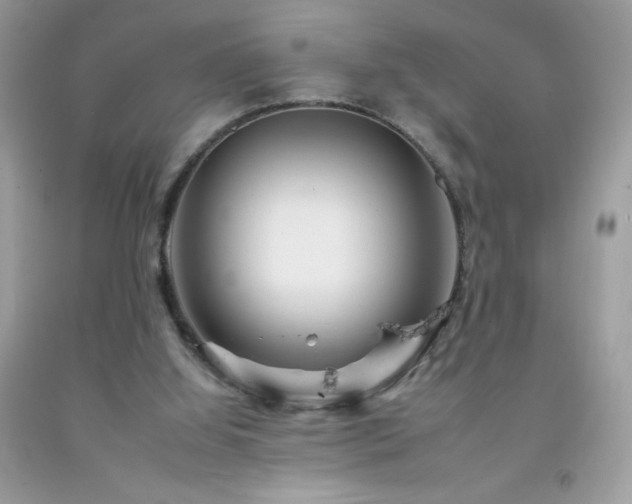 X0000092260060200709141217