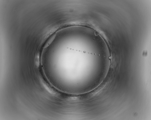 X0000092260061200709141217