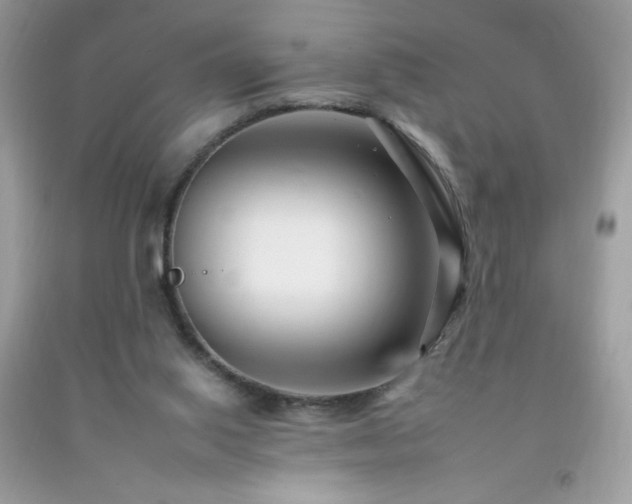 X0000092260062200709141217