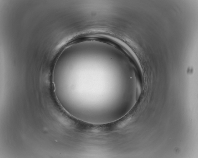X0000092260064200709141217