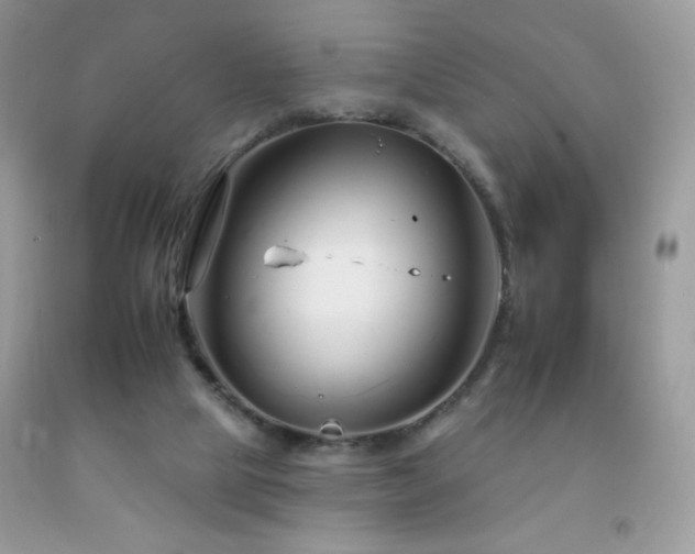 X0000092260065200709141217