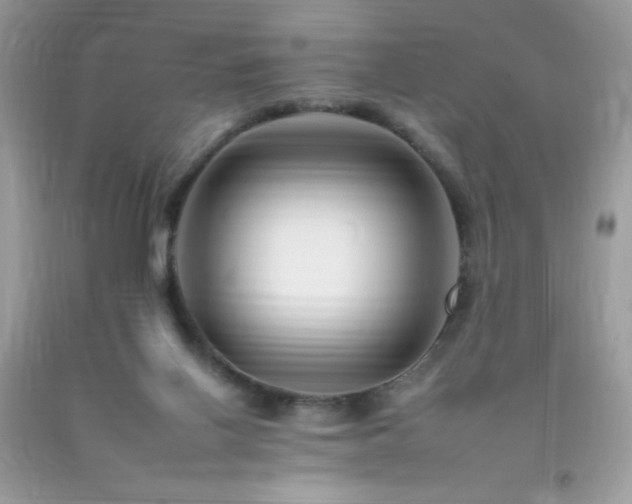 X0000092260070200709141217