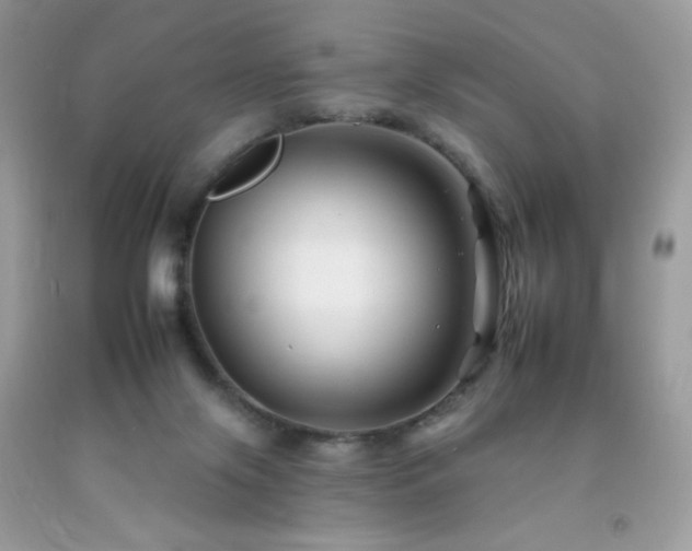 X0000092260071200709141217