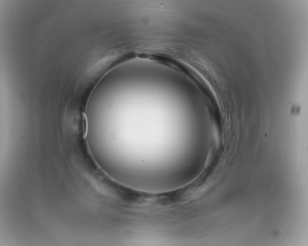 X0000092260072200709141217