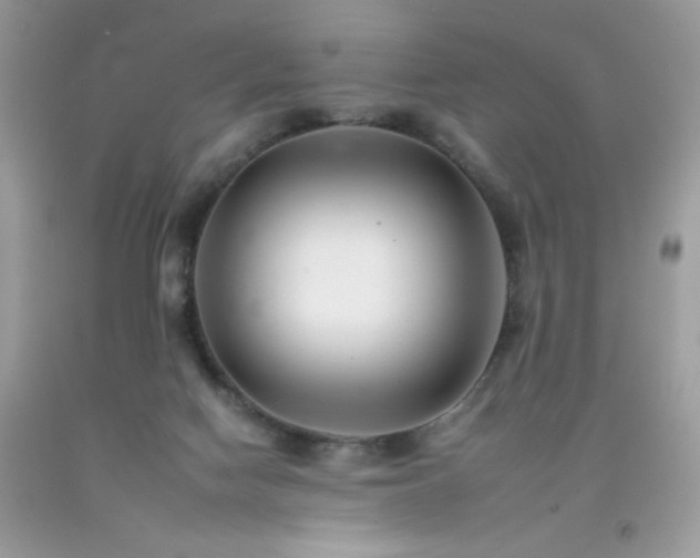 X0000092260074200709141217