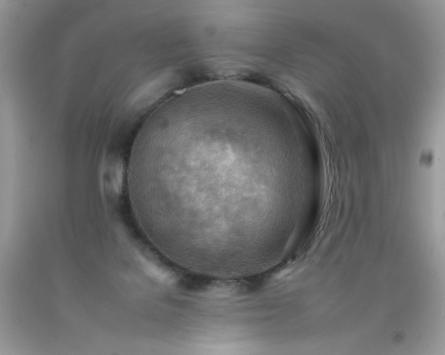 X0000092260076200709141217