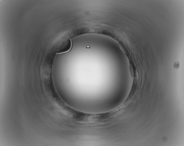 X0000092260078200709141217