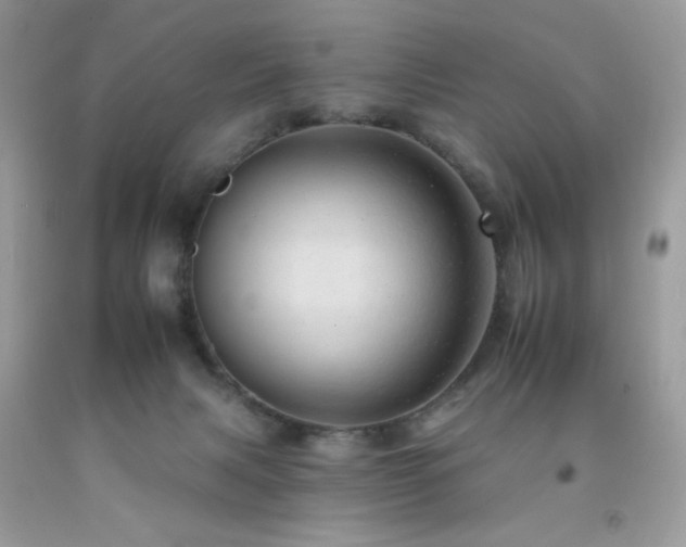 X0000092260079200709141218