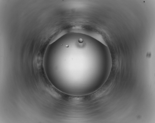 X0000092260081200709141218