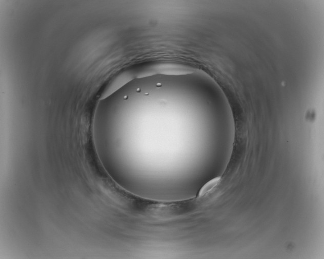 X0000092260082200709141218