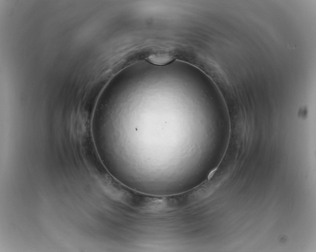 X0000092260083200709141218