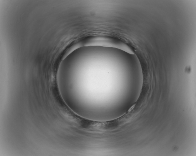 X0000092260084200709141218