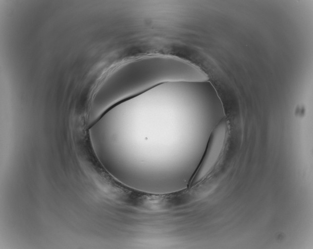 X0000092260088200709141218
