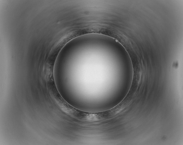 X0000092260091200709141218
