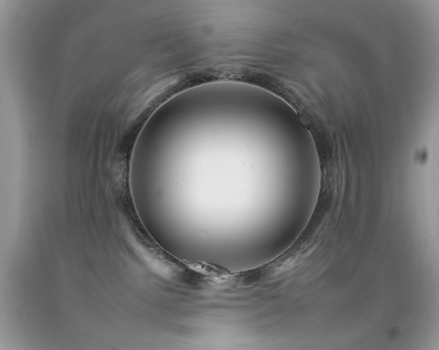 X0000092260092200709141218