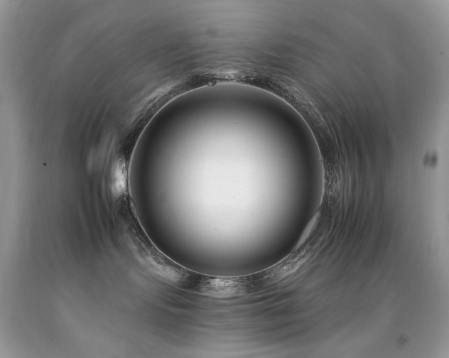 X0000092260095200709141218