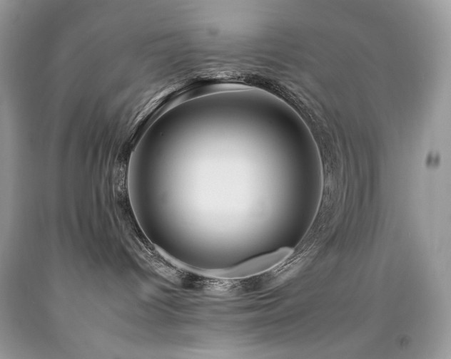 X0000092260096200709141218