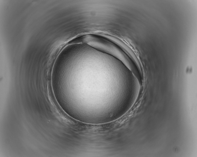X0000092260097200709141217