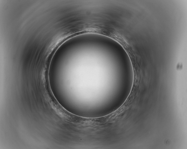 X0000092260098200709141217