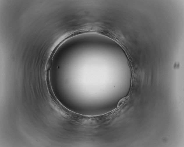 X0000092260100200709141217