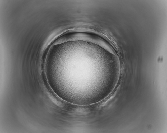 X0000092260101200709141217